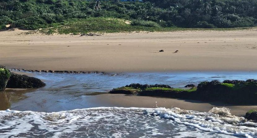 Tugela Beach, South Africa , South Africa